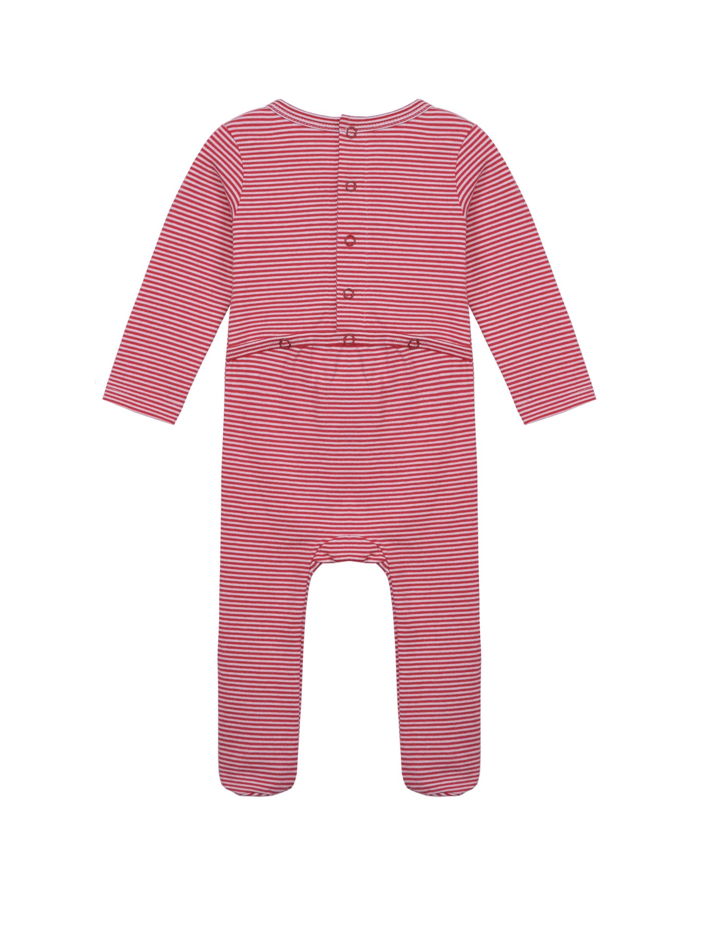 בייביגרו דובי (615)